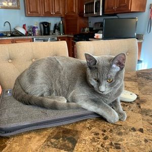 Meet your Posher, Dana